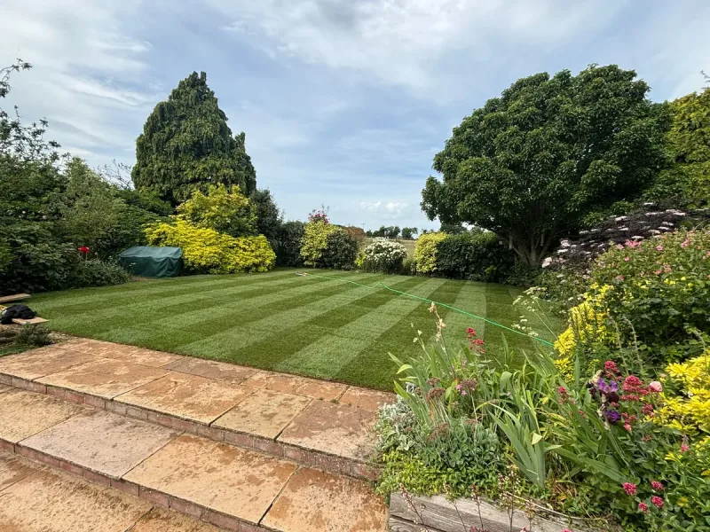 The Best Time of Year to Replace Your Lawn in Norwich