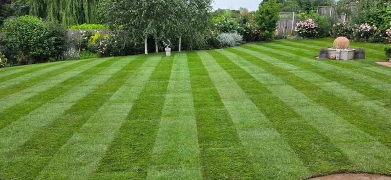 Grass Laying Services Norwich: What to Expect and How to Get It Right