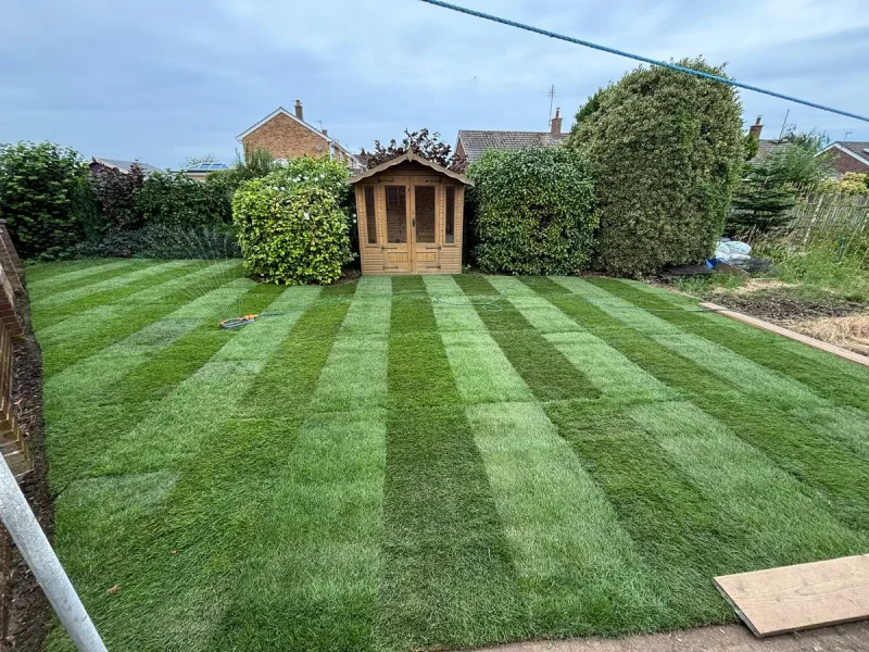 How Long Does New Turf Take to Root?