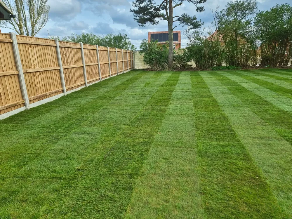 New and replacement lawn by James Steven Landscapes & Lawns, Norwich