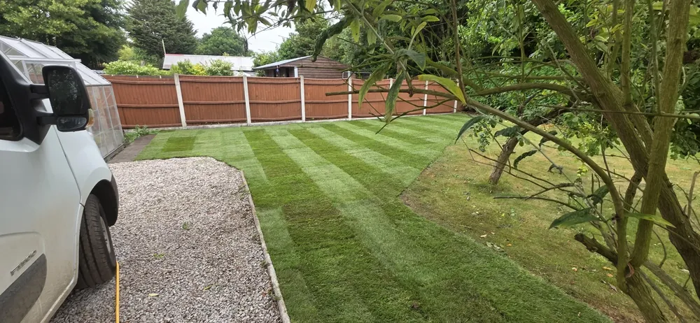 Striped turf laid across a garden lawn