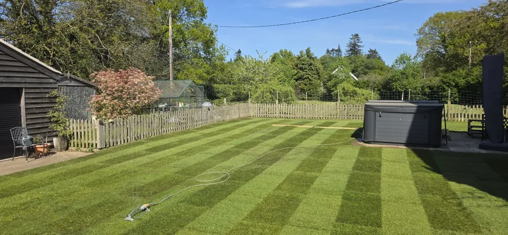 Replacement lawn with a tidy finish in Norfolk