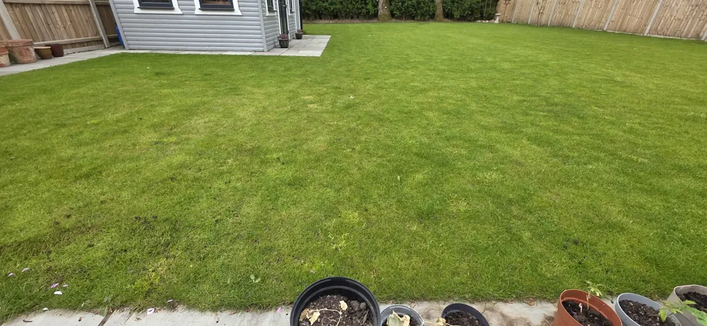 New and replacement lawn by James Steven Landscapes & Lawns, Norwich