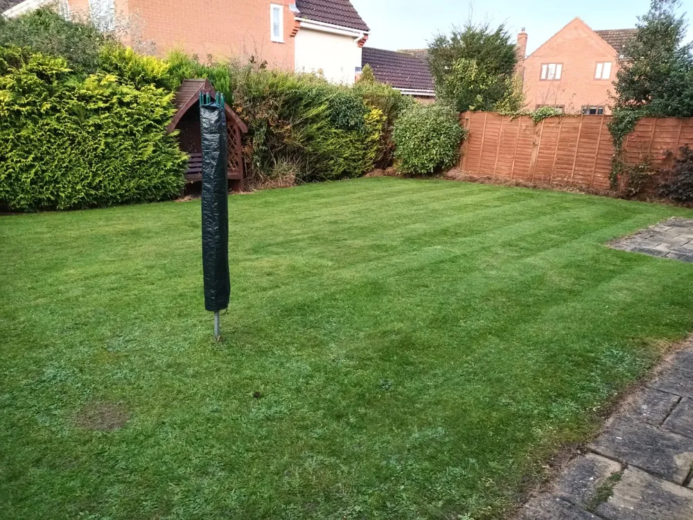 New and replacement lawn by James Steven Landscapes & Lawns, Norwich