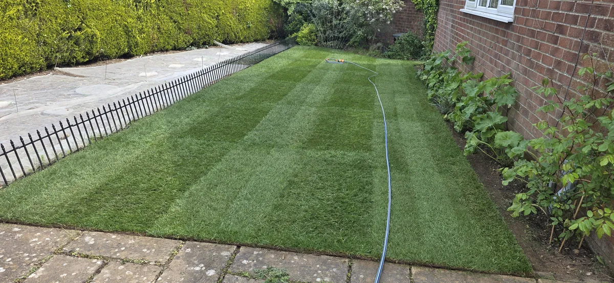 Long striped lawn laid between a fence and house in Norfolk
