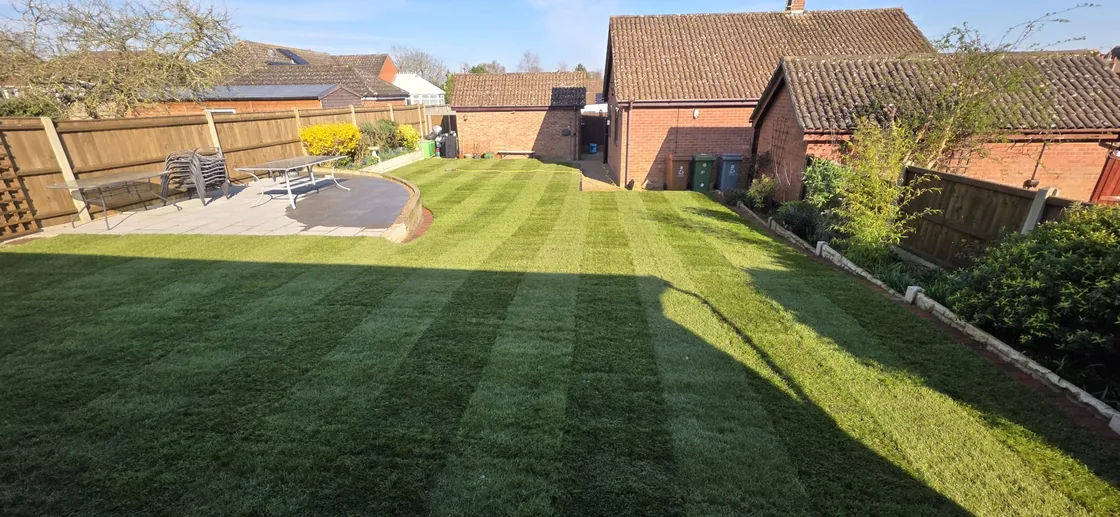 Fresh lawn replacement in Norwich