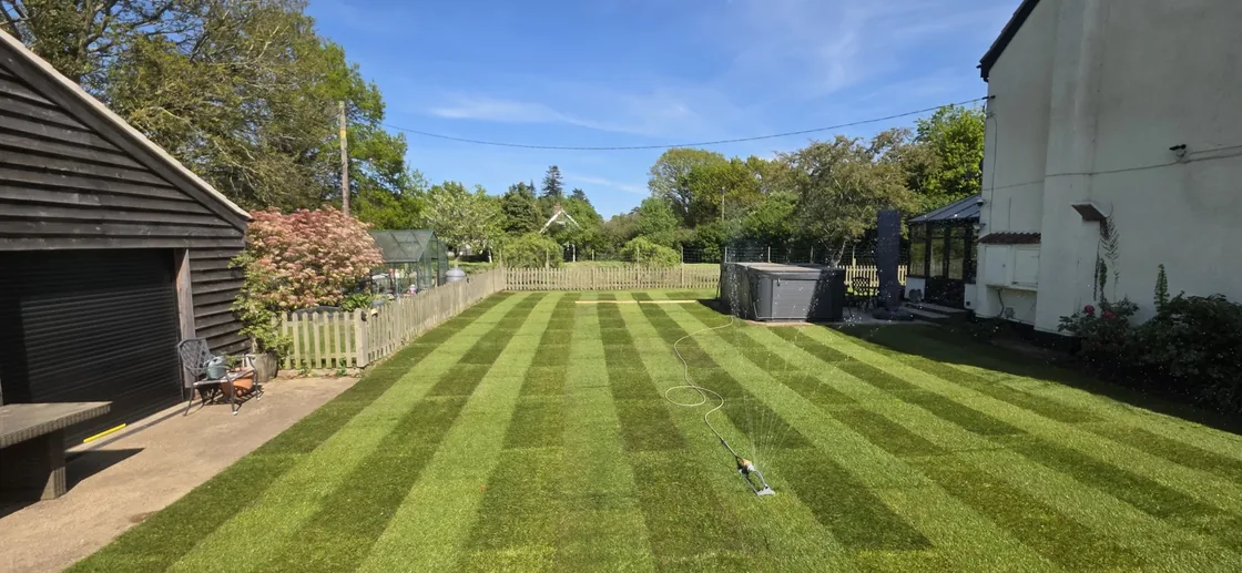 Lawn replacement work in Norwich